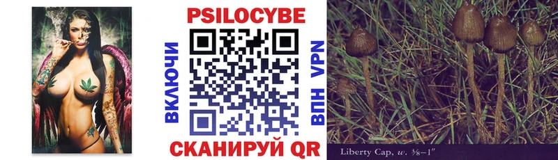 Галлюциногенные грибы GOLDEN TEACHER  закладки  Кирсанов 